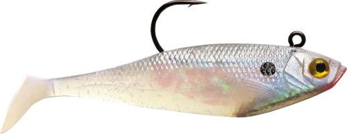 Storm Swim Shad and Jigs