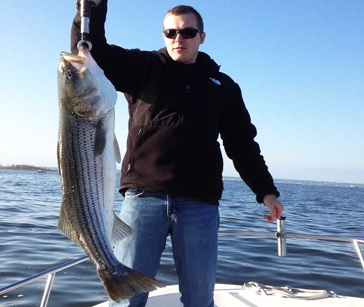 big striped bass caught fishing near new york city