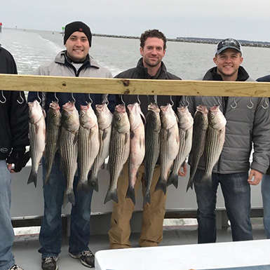 charter boat striped bass catch in maryland limited out