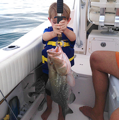 Kd catches giant grouper