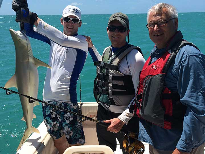 lemon shark caught on a steel cable shark rig