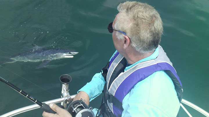 mako shark near the boat on the best shark rig