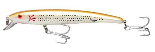 school bus long a striped bass bomber