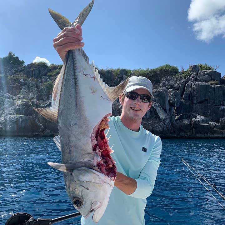 shark take a huge bite out of a horse eye jack