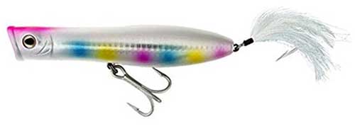 tsunami talkin pencil popper striped bass surface popper