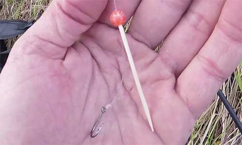 hold trout bead in place above the hook with toothpick for salmon fishing