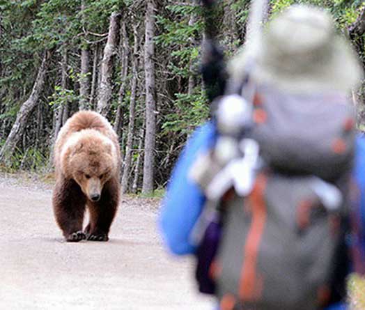 Hiker About to Use Bear Spray
