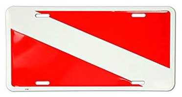 REEL WOMEN FISH real pink License Plate Frame