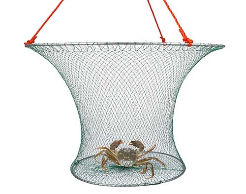 lobster hoop net