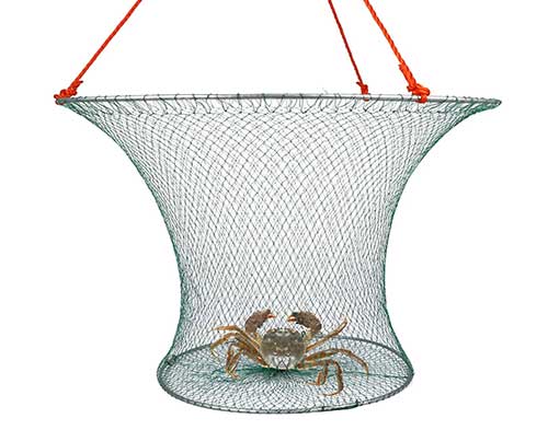 lobster hoop net