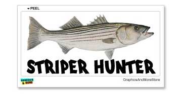 striper hunter fishing sticker