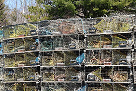 wire mesh lobster pots