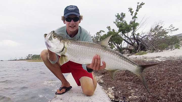 tarpon caught using the best tarpon lures