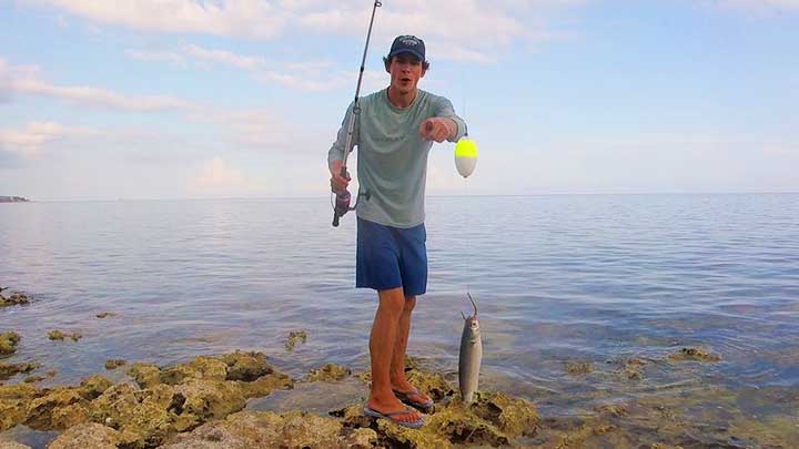 tarpon fishing tip float with a mullet