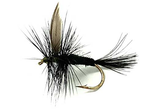 black gnat dry fly for grayling