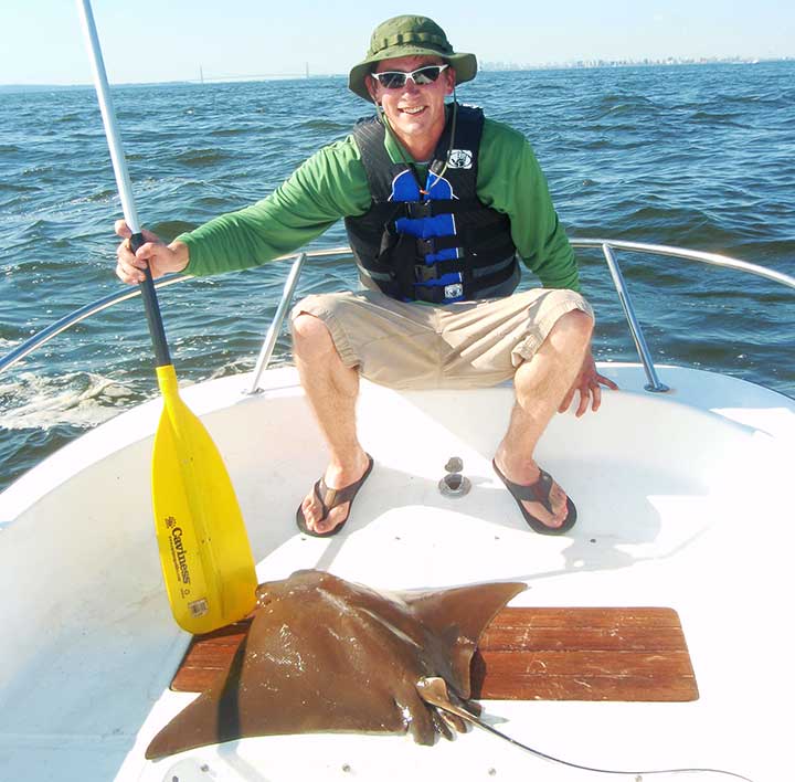 cownose stingray caught in new jersey in august captain cody wabiszewski