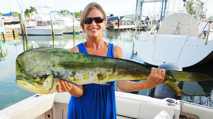 how to catch mahi mahi dolphin and dorado