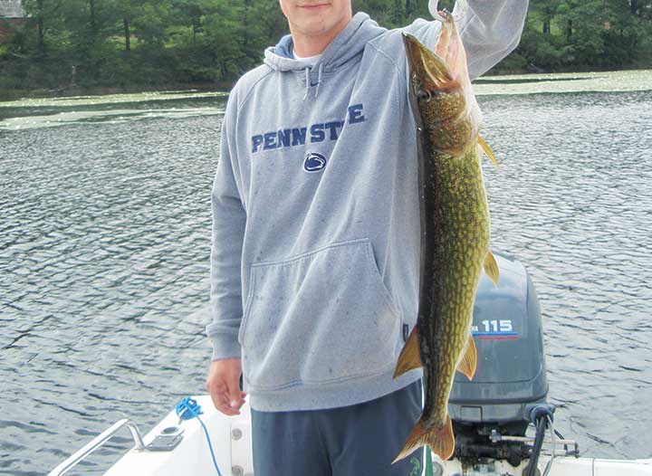 huge pickerel fish caught while pickerel fishing