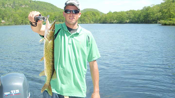 pickerel fish caught in new jersey on a mepps spinner lure