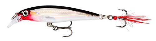 Rapala X-Rap jerkbait hybrid striped bass Lure