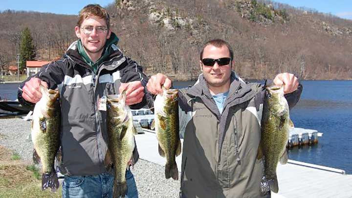 bass caught with baby brush hogs the best bass fishing lure