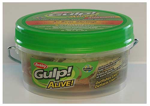 gulp shrimp triple tail fish bait