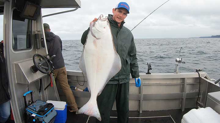 halibut caught on a mooching rig