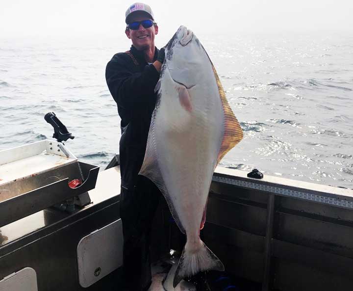 huge halibut caught with halibut bait pollock squid and pink salmon