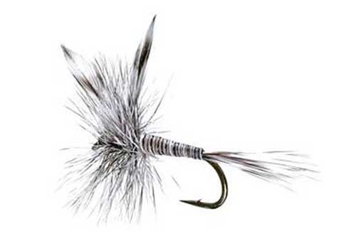 mosquito trout fly