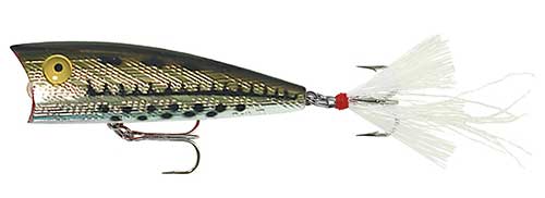 rebel lures surface popper hybrid striped bass lure