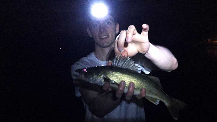 walleye caught while fishing at night