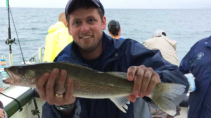 walleye caught with trolling lures in the great lakes