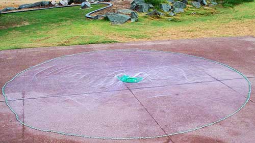 Panel Design Best Quality 9 FT Cast Net with 3/8 mesh and ChaiN BottoM