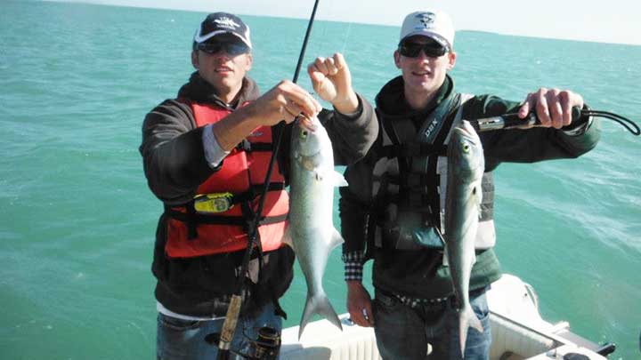fishing for bluefish in florida