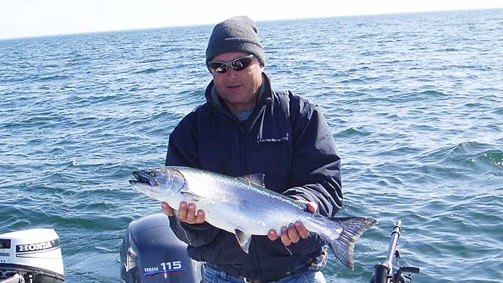 king salmon caught trolling in lake ontario
