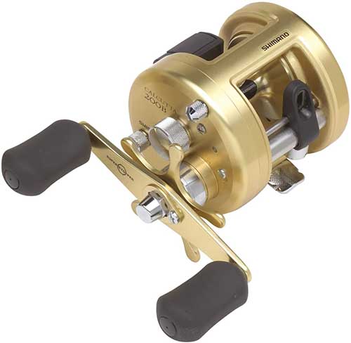 shimano calcutta saltwater baitcasting reel