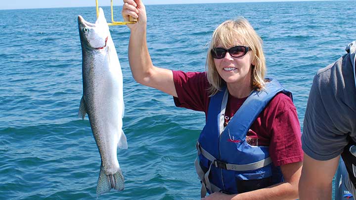 steelhead caught on a salmon lure in the great lakes