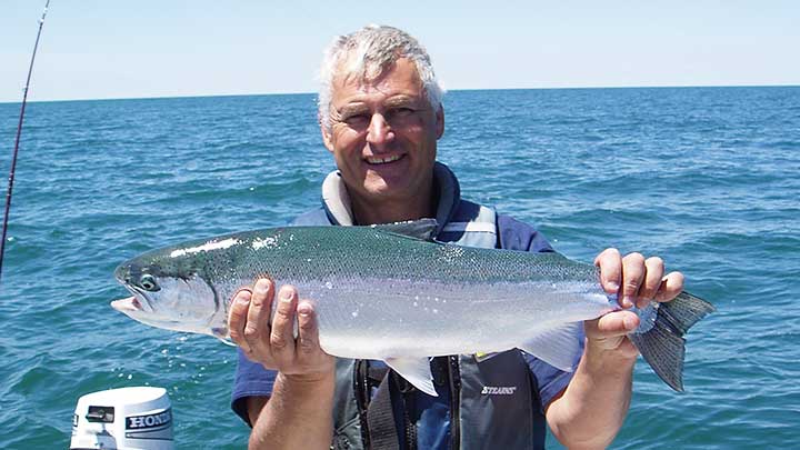 steelhead caught while trolling in the great lakes