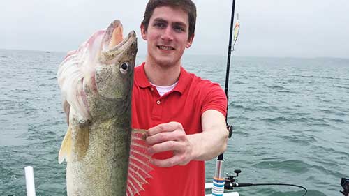 best walleye lures post