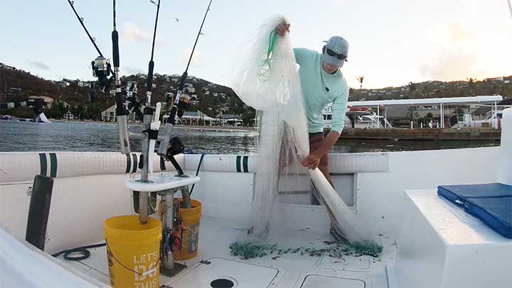 first untangle the cast net