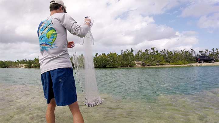 grab the lead line of the cast net