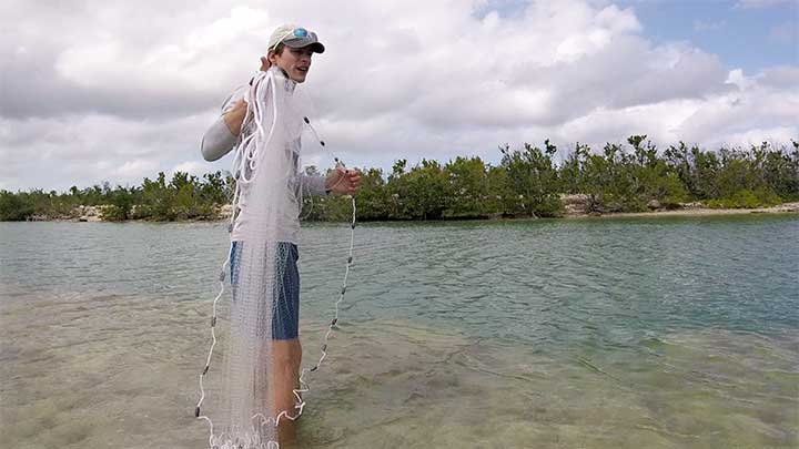 grab the lower lead line of the cast net