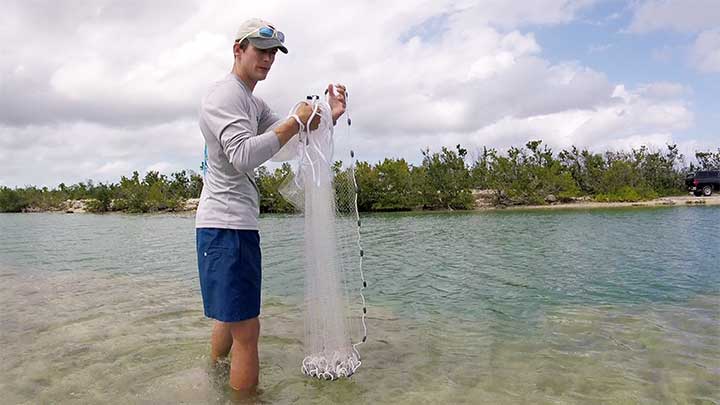 place lead line of cast net of the horn