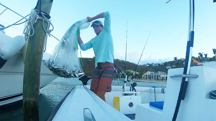 pull the net up and then drop the net slightly to let the bait fill into the pockets of the net