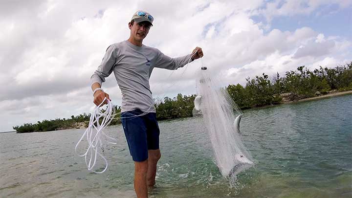 slowly pull up the net a see what fish were caught