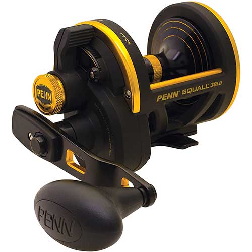 penn squall lever drag conventional fishing reel