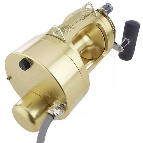 cordless electric fishing reels