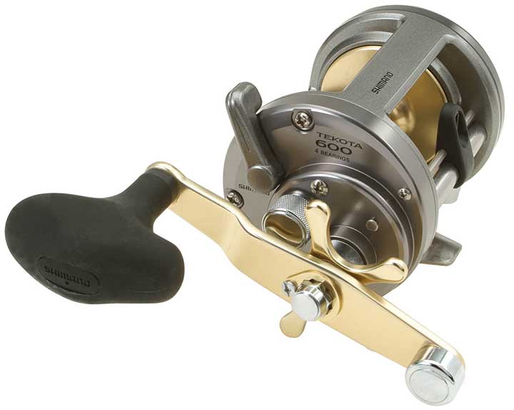 best salmon fishing reel shimano tekota 600