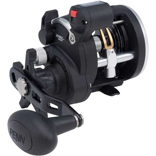 penn rival level wind salmon fishing reel