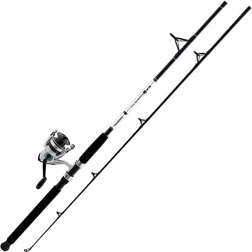 Daiwa D-Wave Saltwater Fishing Rod and Reel